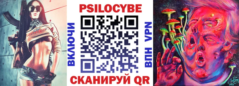 Псилоцибиновые грибы Psilocybe  где купить   блэк спрут tor  Оха 
